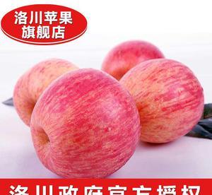 大量批发正宗洛川红富士苹果产地直销陕西农产品新鲜水果70一级
