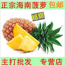 【海南香水菠萝】最新最全海南香水菠萝 产品参考信息